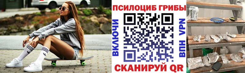 кракен ССЫЛКА  Сычёвка  Псилоцибиновые грибы мицелий 
